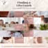 design social media posts for facebook and instagram