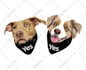 draw your dogs or any pets into cartoon portrait