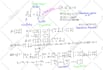 be your expert math tutor for all levels of mathematics