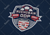 design badge or mascot logo for your sport team