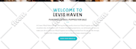 create a responsive wordpress website or landing pages