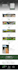 build a responsive wordpress website design