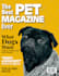 design professional eye catchy magazine cover