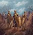 create concept art and illustration