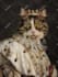 create custom royal historical pet portrait