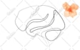 draw vector single line art illustration