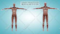 create a great 3d medical animation video