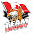 provide professional vector tracing services