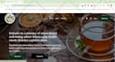 wix website design wix website redesign wix website development wix website