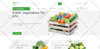 build website, website development, full stack developer, front end developer