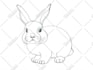 draw watercolor cute animals and cards