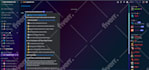 setup the secure crypto, nft discord server within 24 hours