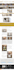 build responsive wordpress website design