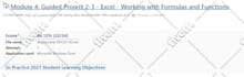 do your excel assignments and excel assessment through microsoft office