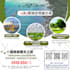 design eye catchy, premium traveling, tour flyer, real estate flyer, free mockup