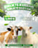design food poster, food menu, and promotion poster