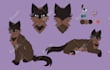 draw a ref sheet for your animal oc