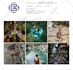 grow your instagram organically with real followers and content strategy