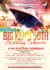 do any kind of flyer summer, beach, winter travel, picnic, latin, cruise flyer