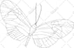 draw black and white outline illustration diagram