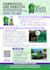 design professional flyer, poster, leaflet in 5 hours