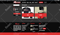 develop professional wordpress woocommerce store