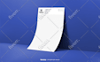 design professional logo, brand identity, and style guide