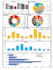 do data analysis excel dashboard pivot charts graphs survey analysis spss