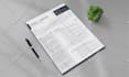 write, edit, update, format and design your professional resume or cv