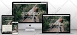 create wordpress website design and development