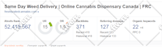 be onpage and offpage website SEO expert for top google rankings, boost ranking