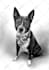 draw a realistic digital charcoal portrait from your photo