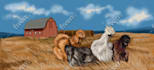 create digital artwork of your pets and any animals