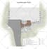 do architectural site plan and landscape design