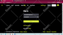 be your data entry and web research virtual assistant