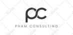 design a professional logo