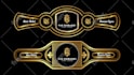 do modern cigar logo, bands, label, and cigar box design