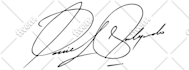 do handwritten logo, scripted, cursive signature and autograph