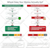 create custom infographic charts and data visualization for your business