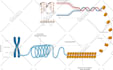 design scientific illustration, scientific figure, graphical abstract