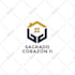 design professional company logo