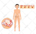 illustrate professional medical anatomy diagrams