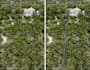 render digital 2d landscape architectural site plan