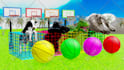 create awesome 3d animal animation for kids