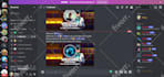 setup custom discord server within 24 hours