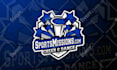 do school and collage sports team logo for event and league