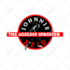 fix , modify ,clone, recreate, ai art to vector, fix logo to print ready file