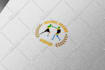 design a minimal and professional business logo