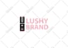 do chic logo for website, dropshipping, store or business
