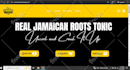 create wordpress website  design or redesign wordpress website